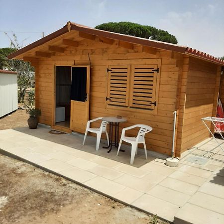 ホテル Quinta Do Pinheiro Grândola エクステリア 写真